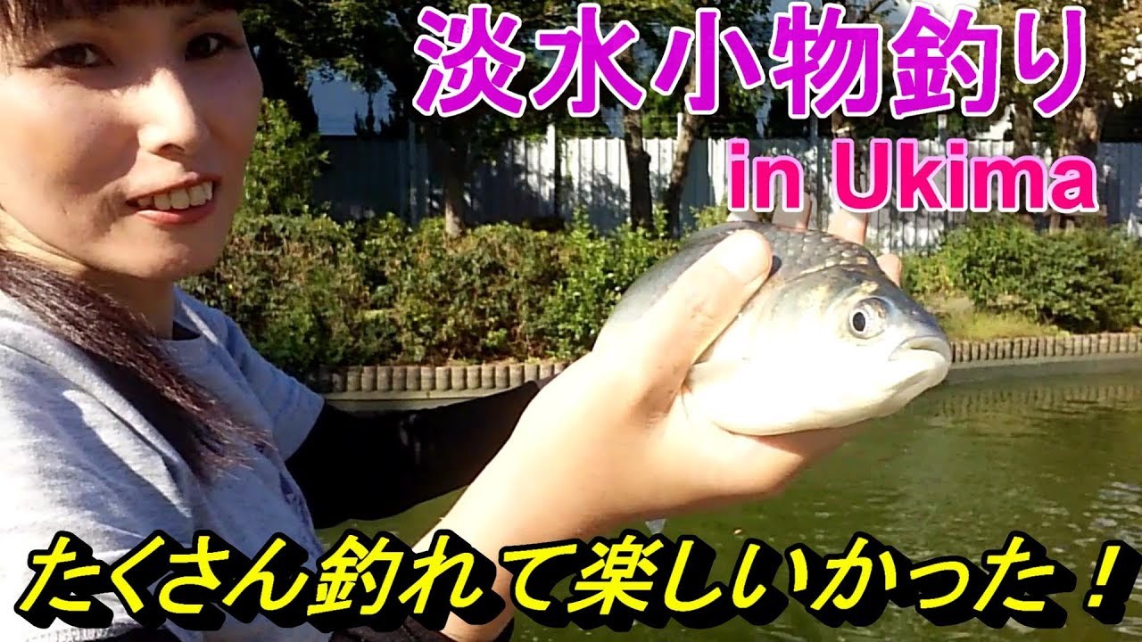 第21回 爆釣 北区浮間つり堀公園での小物釣りを楽しんだ Youtube