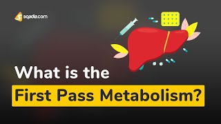 What is the First-Pass Metabolism? | Basic and Clinical Pharmacology