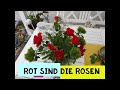 Rot Rot sind die Rosen