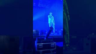 Noah - Lamborghini Gucciland Tour 2019 München