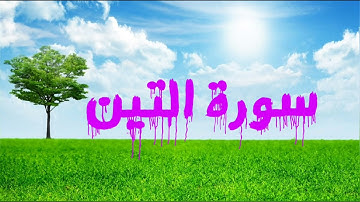 095 سورة التين - ماهر المعيقلي