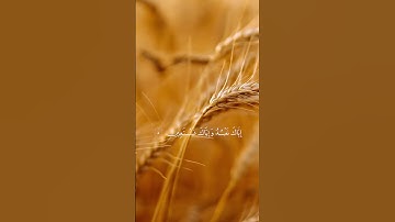 سورة الفاتحة بصوت الشيخ فارس عباد #سورة_الفاتحة #اكسبلور