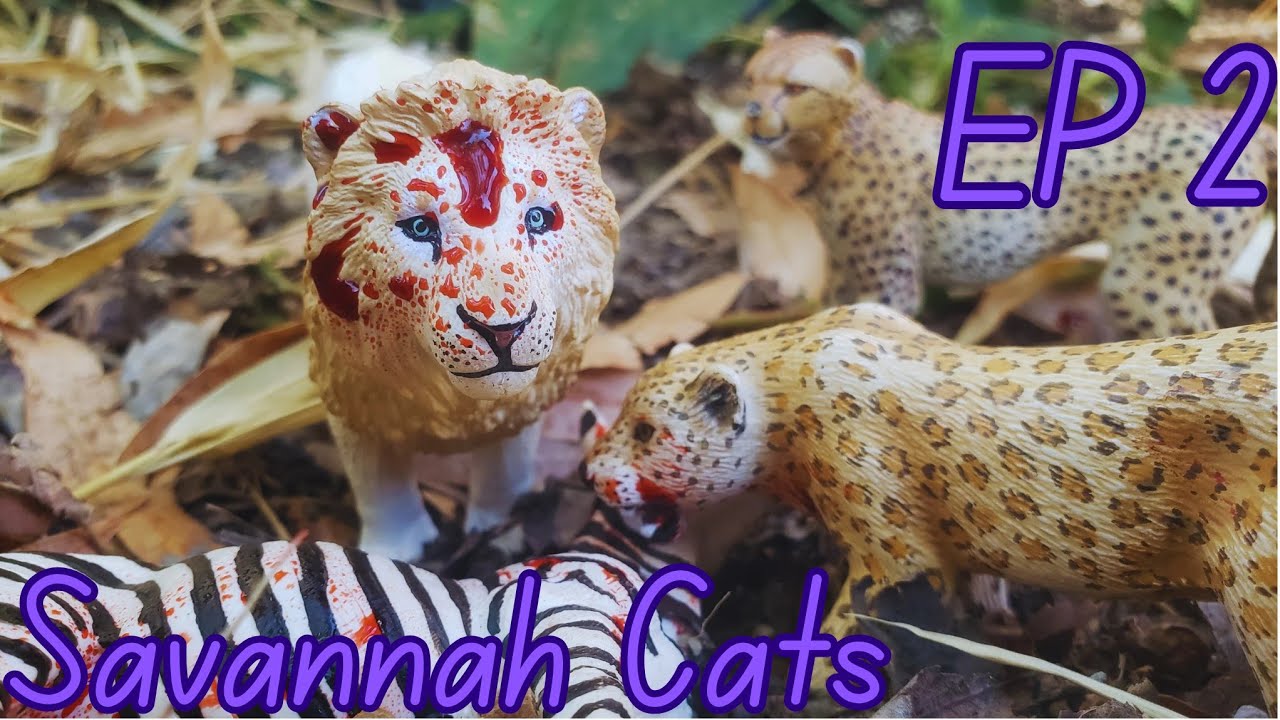 Savannah Cats |EP 2| Toy Lion / Cheetah / Leopard Series