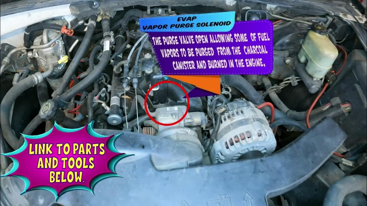  chevy tahoe gm truck suv canister vapor purge valve location