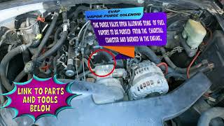Chevy Tahoe & Gm Trucksuv Canister Vapor Purge Valve Location & Operation Explained