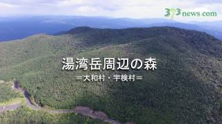 湯湾岳（大和村・宇検村） 2016年12月