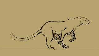 Cheetah Run Cycle - Creature Art Teacher Course