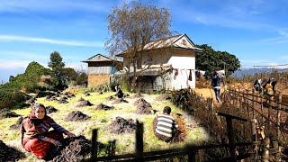 Peaceful Rural Nepal Village Affairs