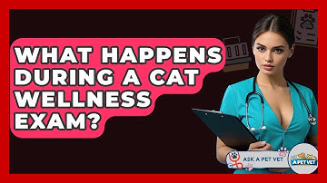 What Happens During A Cat Wellness Exam? - Ask A Pet Vet