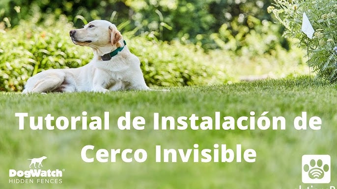 Valla invisible Canifugue para perros - Mascotaland