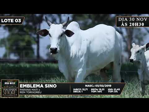 LOTE 03   SINO 1768