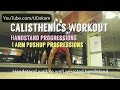 Calisthenics workout  handstand progressions  1 arm pushup progressions