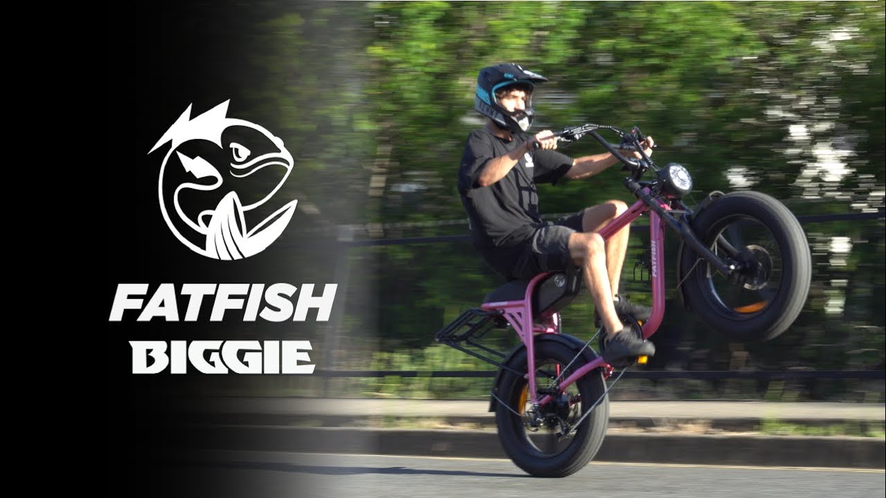 FATFISH BIGGIE | BIGGER BOLDER & BADASS