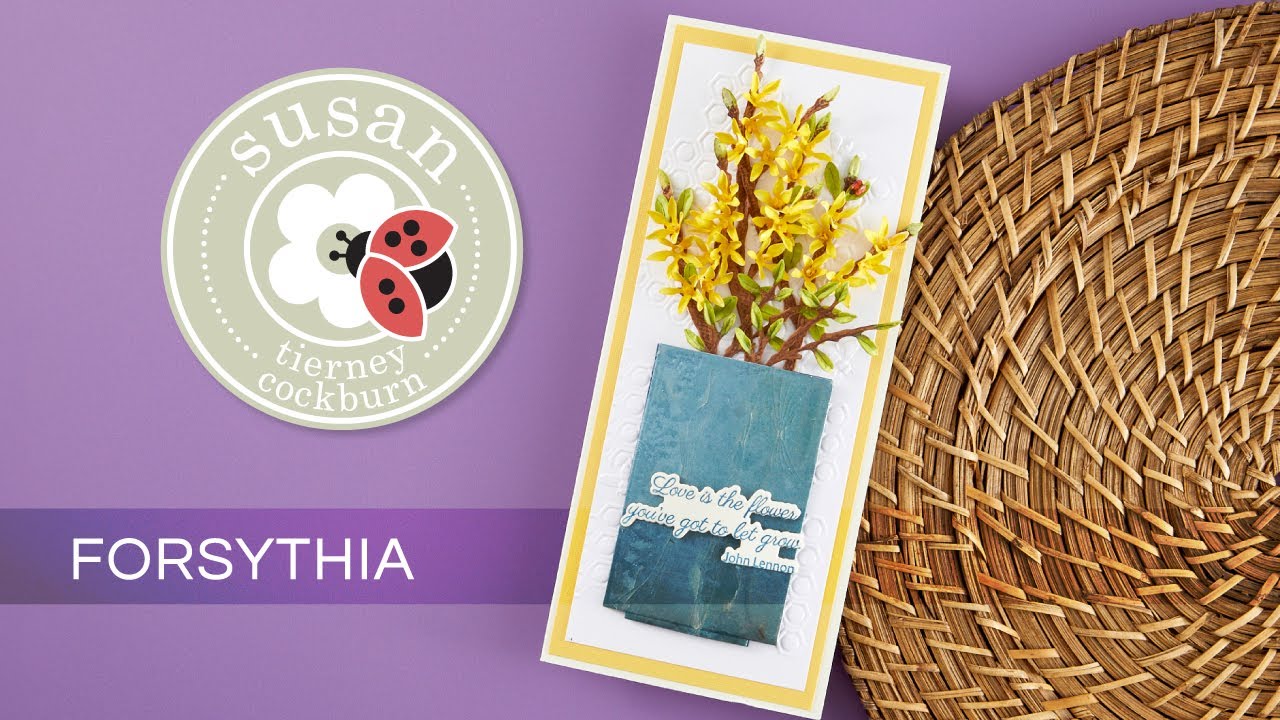 Учебное пособие – Форзиция | Nature's Botanical Garden от Сьюзен