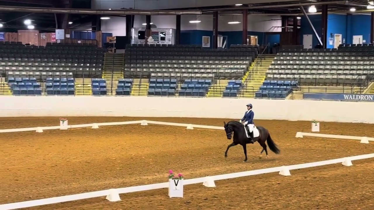 Third level freestyle 