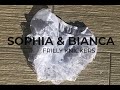 Sophia and Bianca sheer nylon and shiny satin frilly knickers available online. Sizes S to XXL!