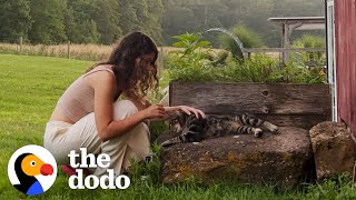 Couple Finds Out Their New House Comes With A Cat | The Dodo