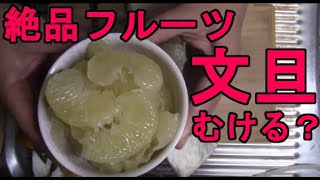 高知名産「土佐文旦（ぶんたん）」の超簡単なむき方・食べ方を紹介！"Buntan" the Big delicious Citrus in JAPAN Peeling easily!