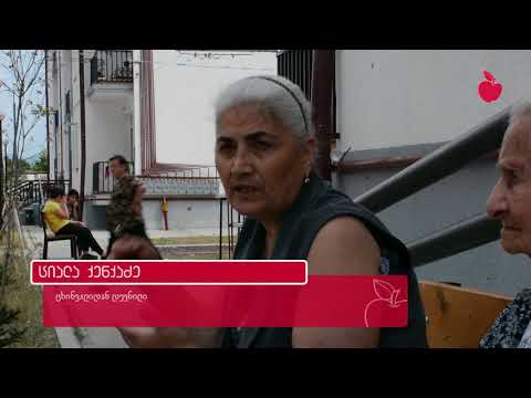 დევნილთა  ორ ახალი კორპუსის სარდაფში ჭაობია