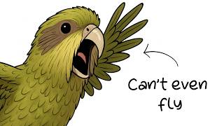 Why It Sucks To Be Born As A Kakapo