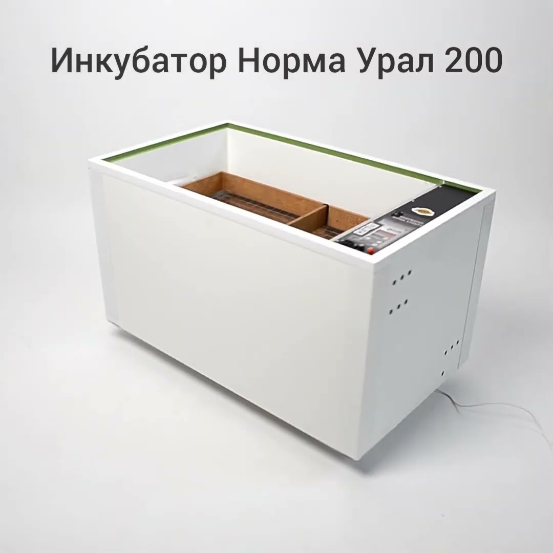Купить Инкубатор Норма Урал В Рассрочку