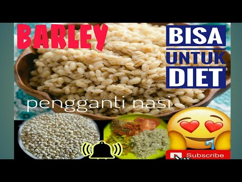 Cara memasak BARLEY/jali sebagai pengganti nasi,barley kaya manfaat 👍👍