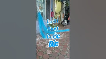 Lưới Quét Cước Đúc 2x10m túi 5m Mắt 1cm
