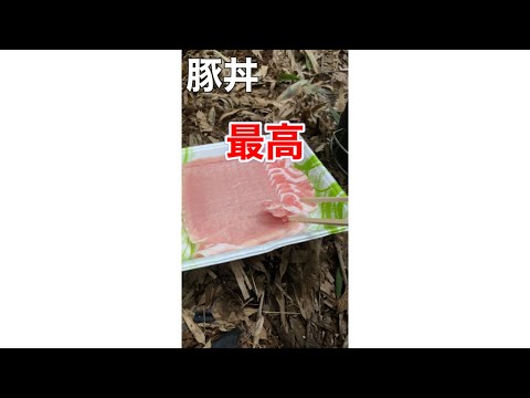 ヤバかった豚丼を作る動画