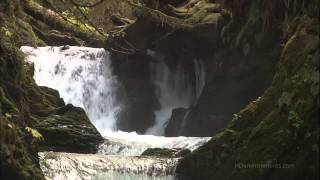 Waterfall In The Forest Troticheskom Hd (Водопад В Тропическом Лесу Hd)