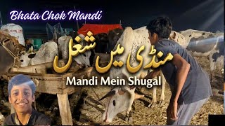 Shugal Mood Vlog Bhata Chook Mandi | #apnashook || #bhatachokmandi