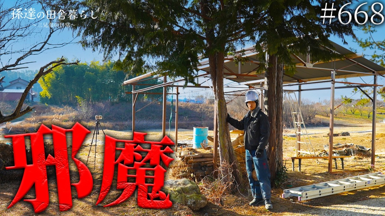 【ビフォーアフター】巨木2本を伐採!休憩所付近が超スッキリ! 