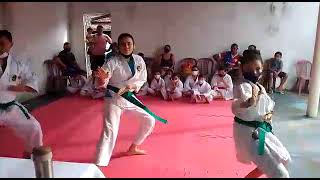 exame de faixa verde para roxa karate shotokan no Parque Santa Rosa