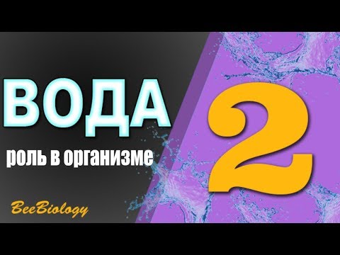 Видео: Изменения локального компартмента и регуляторные изменения ландшафта в клетках, истощенных по гистону H1