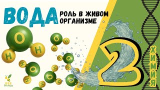 Урок№2 - ВОДА - Зачем Пить Воду? | Биологическая Роль Воды в Организме Человека Урок№2 - ВОДА - Зачем Пить Воду? | Биологическая Роль Воды в Организме Человека