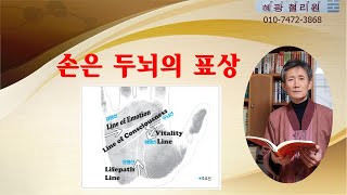 손금-손금은 두뇌의 표상