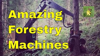 Amazing forestry machines compilation