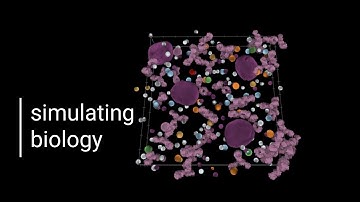 Simularium: Accelerating discovery by animating insight