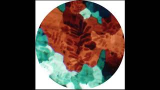 Books - Sour Grapes (Laurence Guy Remix)