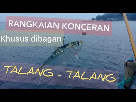 rangkaian konceran ikan talang - talang mancing dibagan