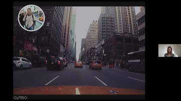 Meachanisms of robust visual working memory representations