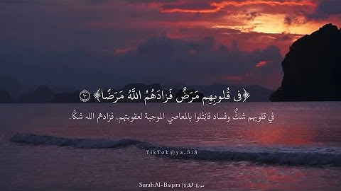 ﴿في قُلوبِهِم مَرَضٌ فَزادَهُمُ اللَّهُ مَرَضًا﴾ سورة البقرة