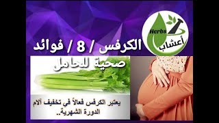 الكرفس ، ثمانية فوائد صحية من تناوله أثناء الحمل. الكرفس قناة_اعشاب أعشاب المرأة_الحامل فيتامين