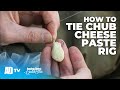 How To Tie A Balanced Chub Cheese Paste Rig - Specialist Fishing Quickbite
