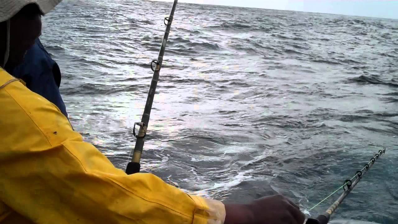 Yellowfin Tuna Fishing South Africa, Shelley Beach near Durban YouTube