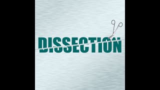 Squid Dissection