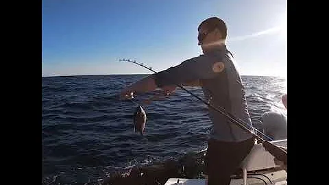 Destin Nearshore Gulf Deep Sea Fishing with Semper...