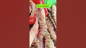 Tôm sú gì mà siêu to, siêu bự, siêu khủng luôn á | MINOS .COM.VN #minos #hảisảnminos #seafood #minos