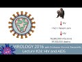 Virology Lectures 2016 #24: HIV and AIDS