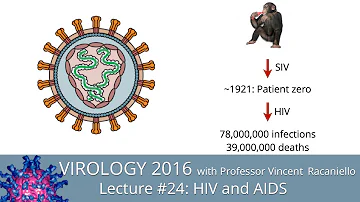 In che anno è stato scoperto l'HIV?