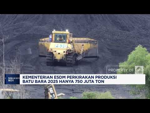 Produksi Batu Bara 2025 Diproyeksi Turun Hampir 100 Juta Ton